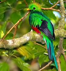 QUETZAL
